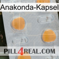 Anaconda Capsule 24